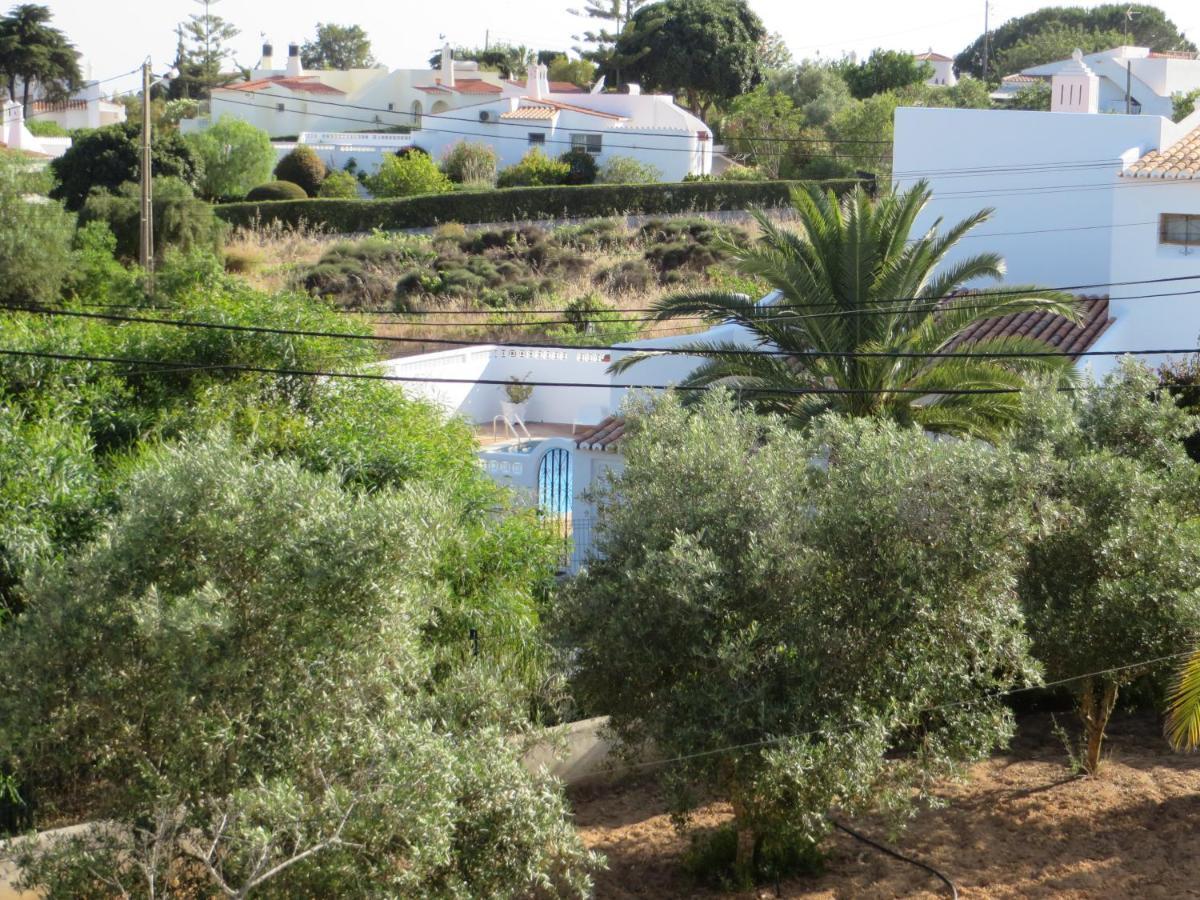 Ferienhaus El Alcazar Carvoeiro (Lagoa)